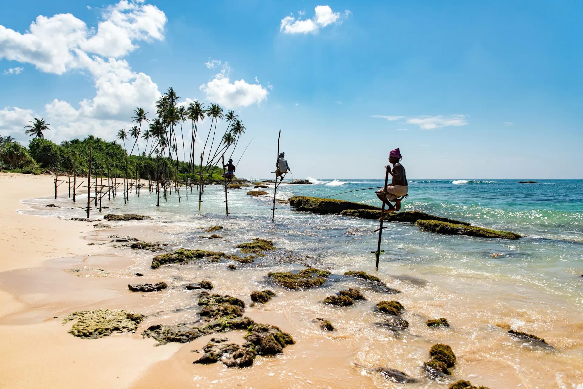 A sweeping Sri Lankan landscape